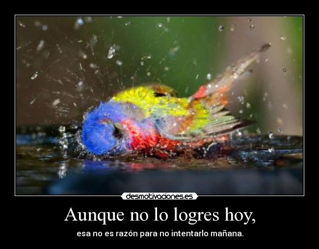 Aunque no lo logres hoy, - esa no es razón para no intentarlo mañana.