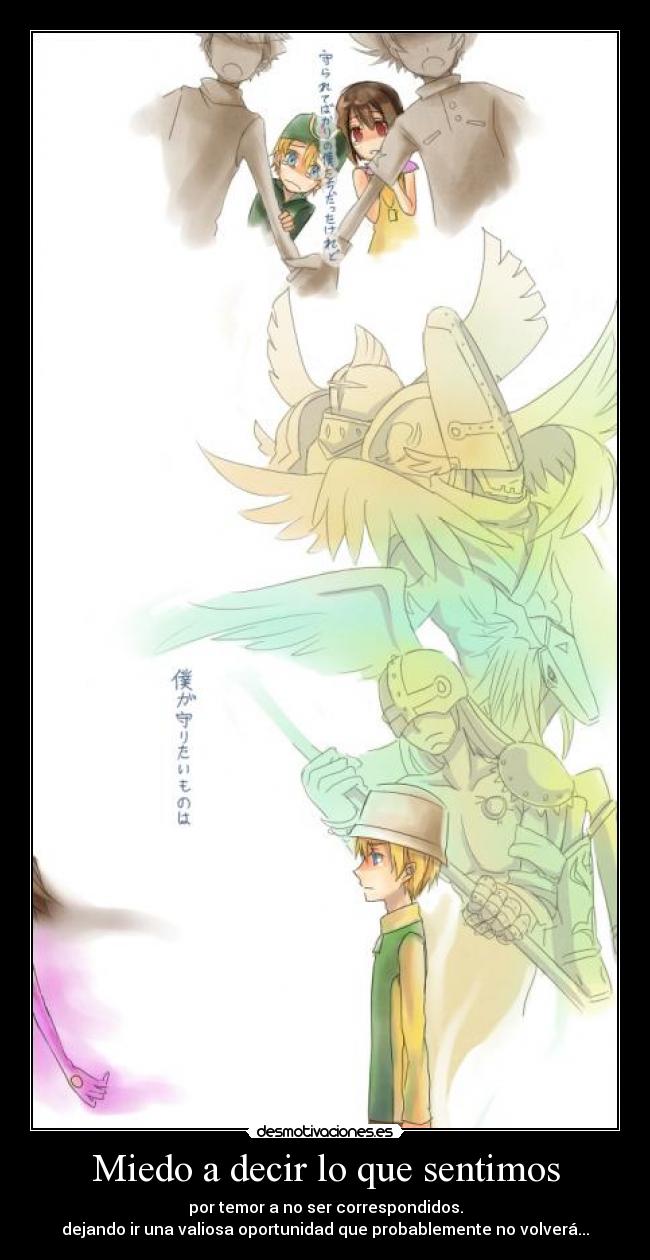 Miedo a decir lo que sentimos - 