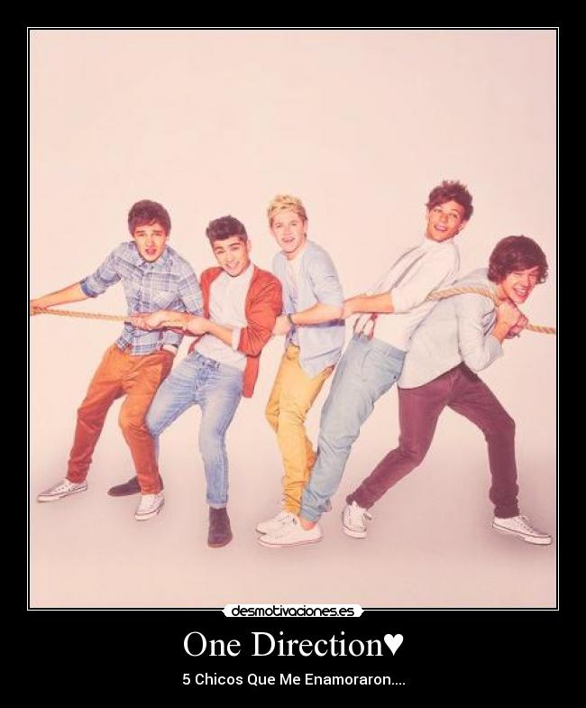 One Direction♥ - 5 Chicos Que Me Enamoraron....