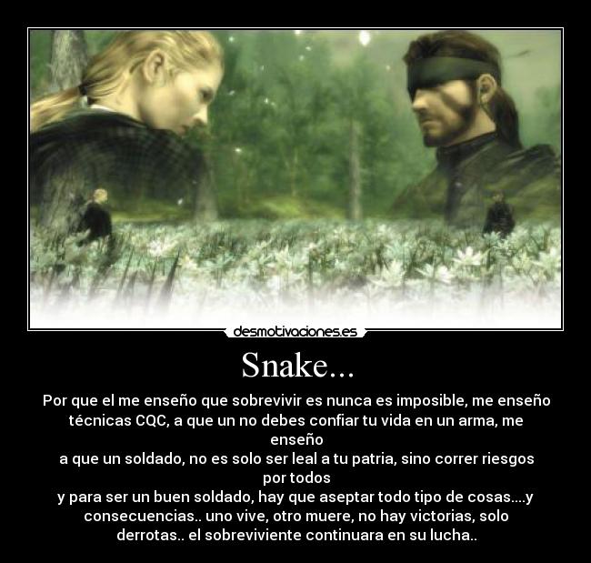 carteles ryu desmotivaciones