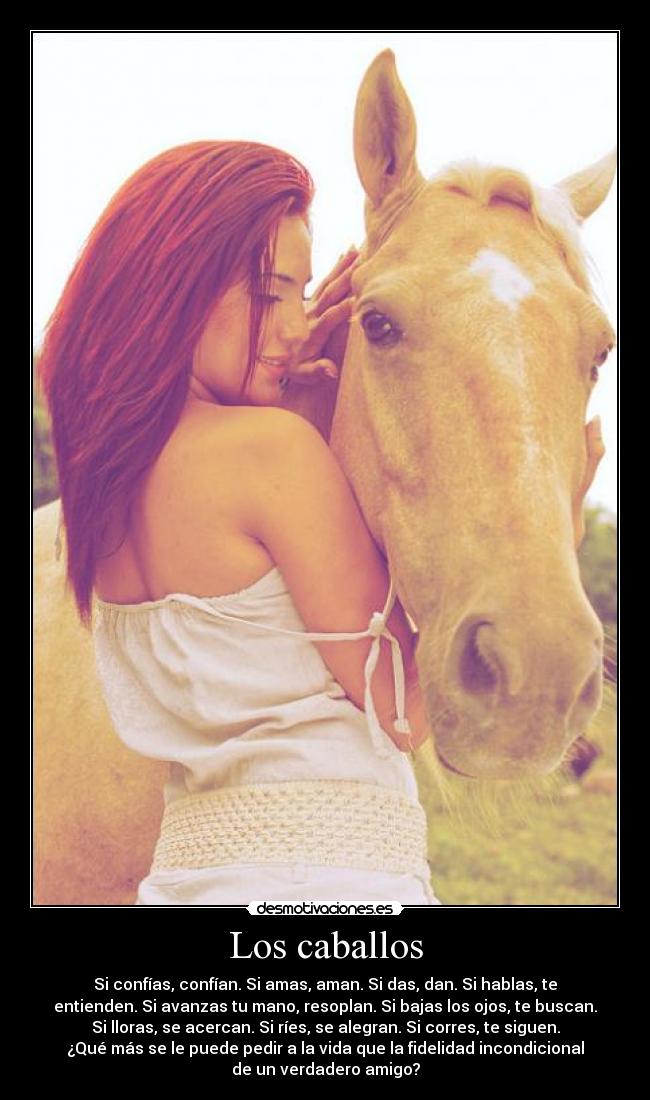 Los caballos - 