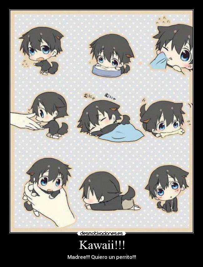 Kawaii!!! -