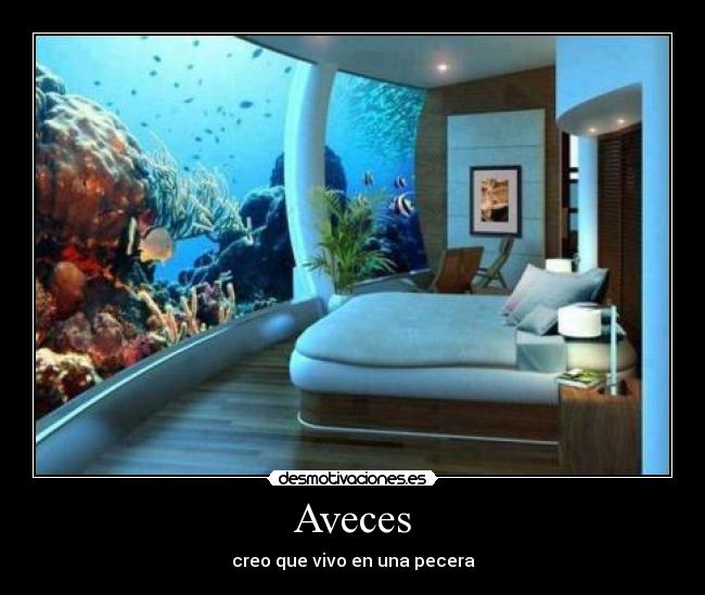 Aveces - creo que vivo en una pecera