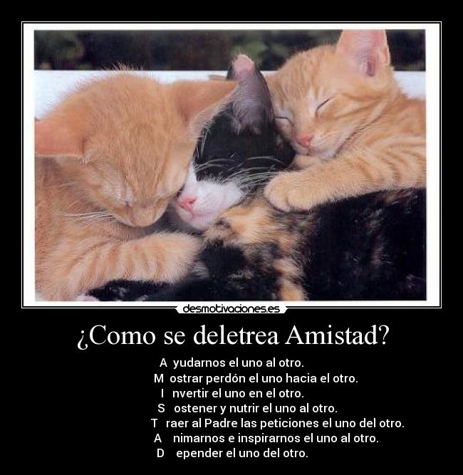 ¿Como se deletrea Amistad? - A  yudarnos el uno al otro.
                 M  ostrar perdón el uno hacia el otro.
I   nvertir el uno en el otro.
           S   ostener y nutrir el uno al otro.
                                T   raer al Padre las peticiones el uno del otro.
                        A    nimarnos e inspirarnos el uno al otro.
D    epender el uno del otro.