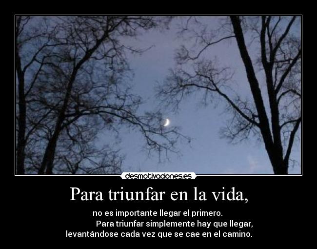 carteles vida asdf desmotivaciones