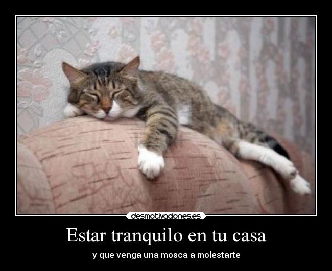 Estar tranquilo en tu casa - 