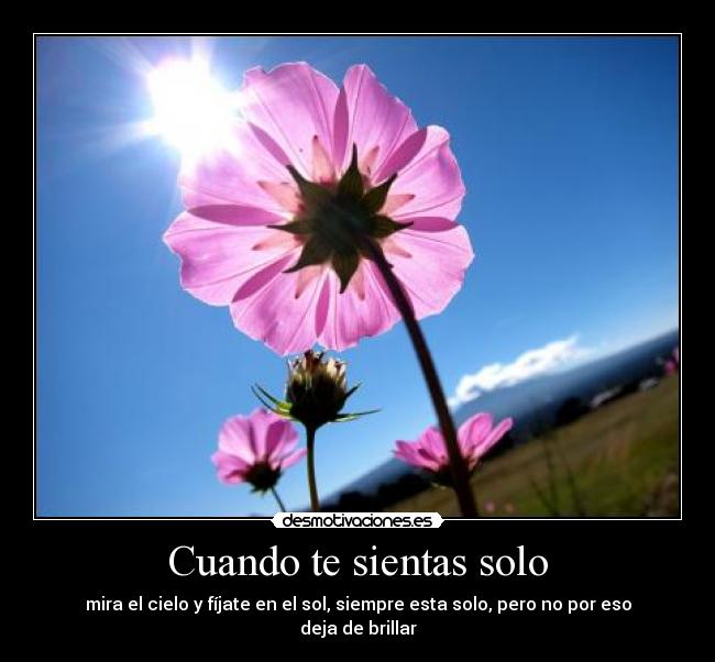 Cuando te sientas solo - mira el cielo y fíjate en el sol, siempre esta solo, pero no por eso deja de brillar
