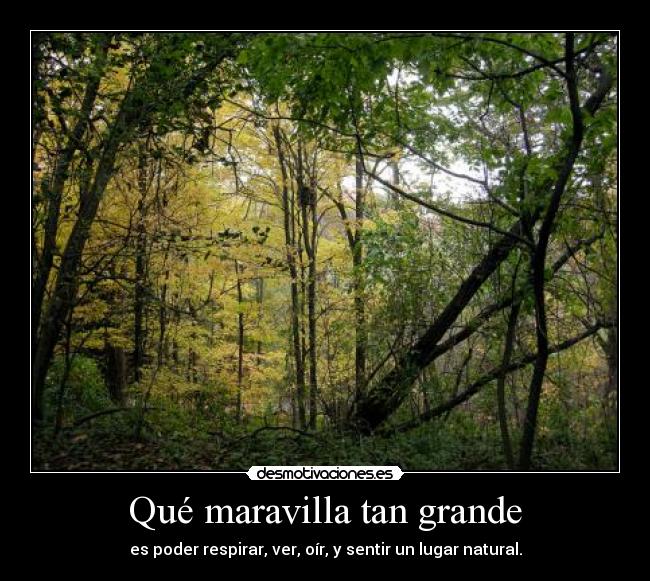 Qué maravilla tan grande - es poder respirar, ver, oír, y sentir un lugar natural.