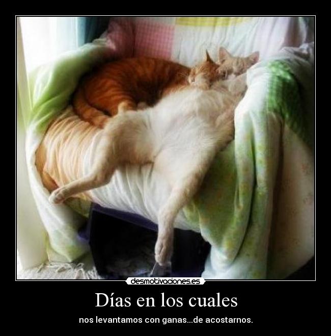 Días en los cuales -