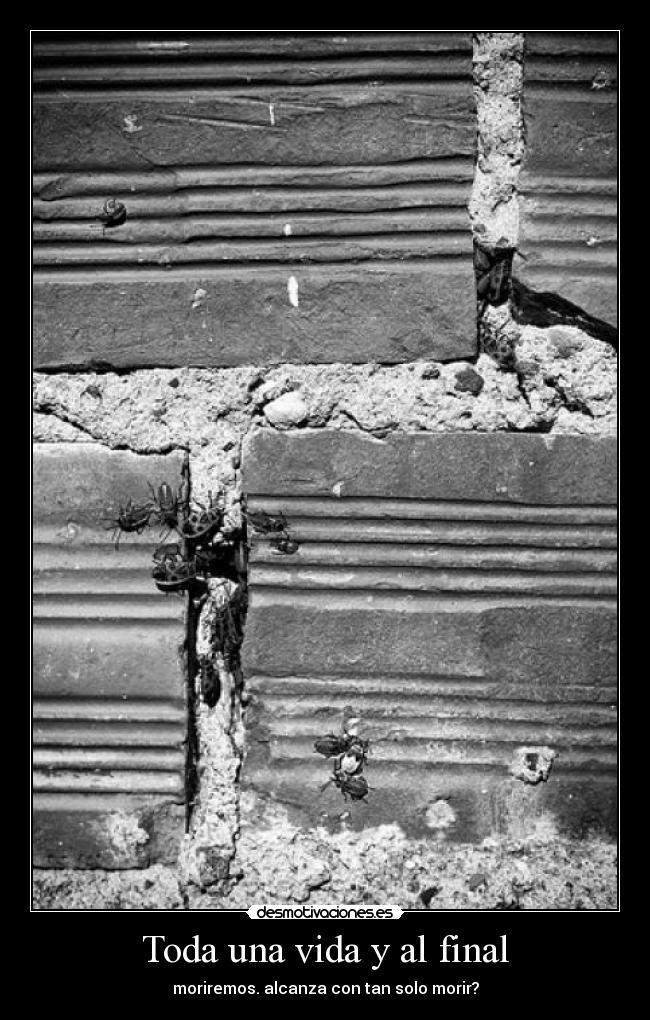 Toda una vida y al final -