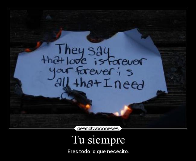 Tu siempre - Eres todo lo que necesito.