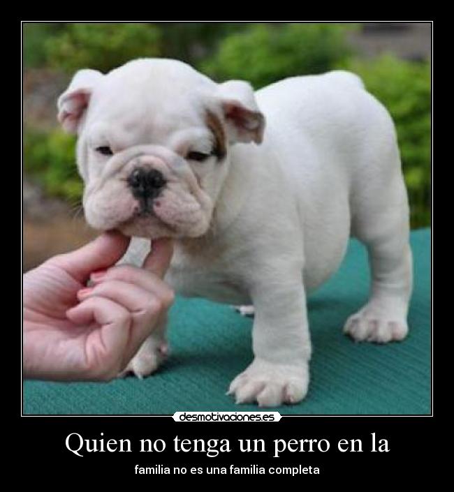Quien no tenga un perro en la -