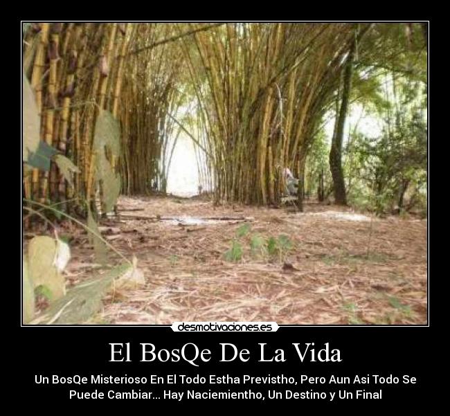 El BosQe De La Vida -