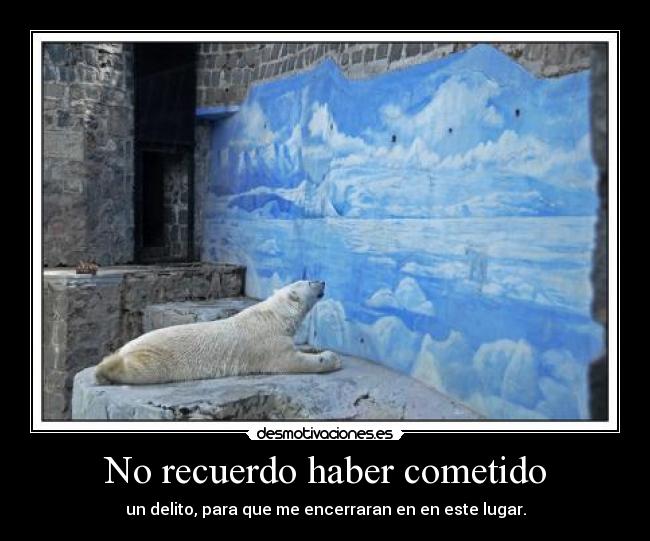 No recuerdo haber cometido - un delito, para que me encerraran en en este lugar.