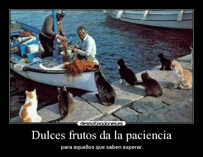 Dulces frutos da la paciencia - 