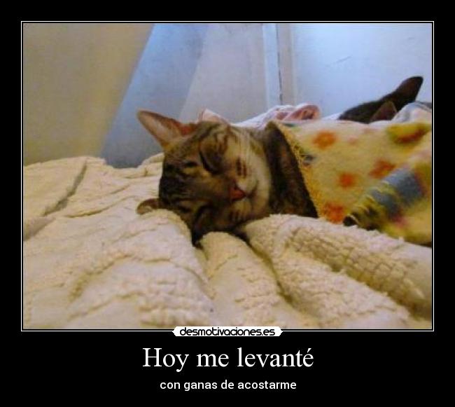 Hoy me levanté - 