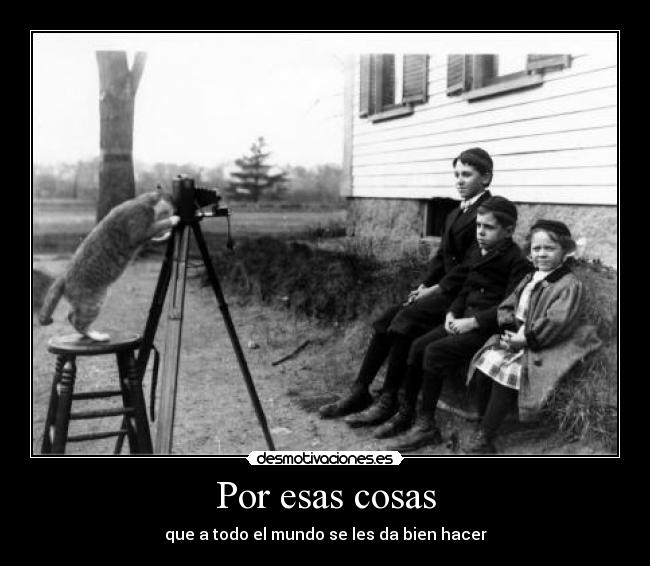 Por esas cosas - que a todo el mundo se les da bien hacer