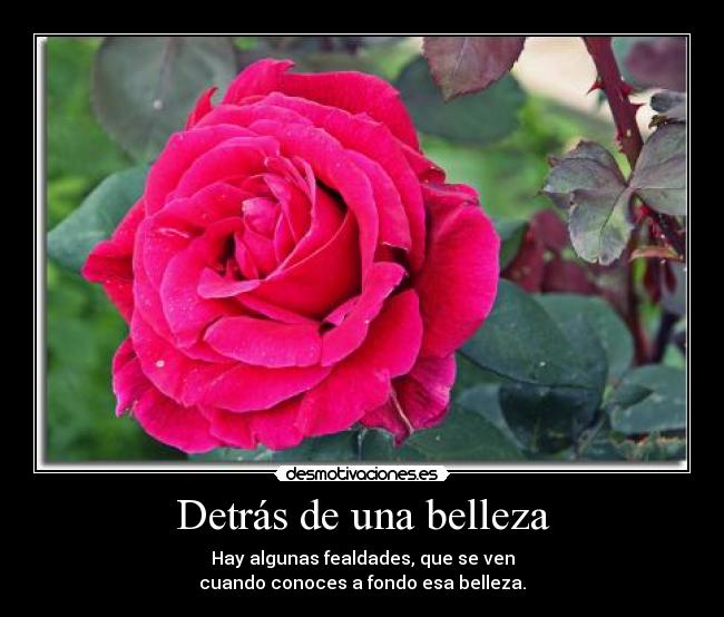 Detrás de una belleza - Hay algunas fealdades, que se ven
cuando conoces a fondo esa belleza.