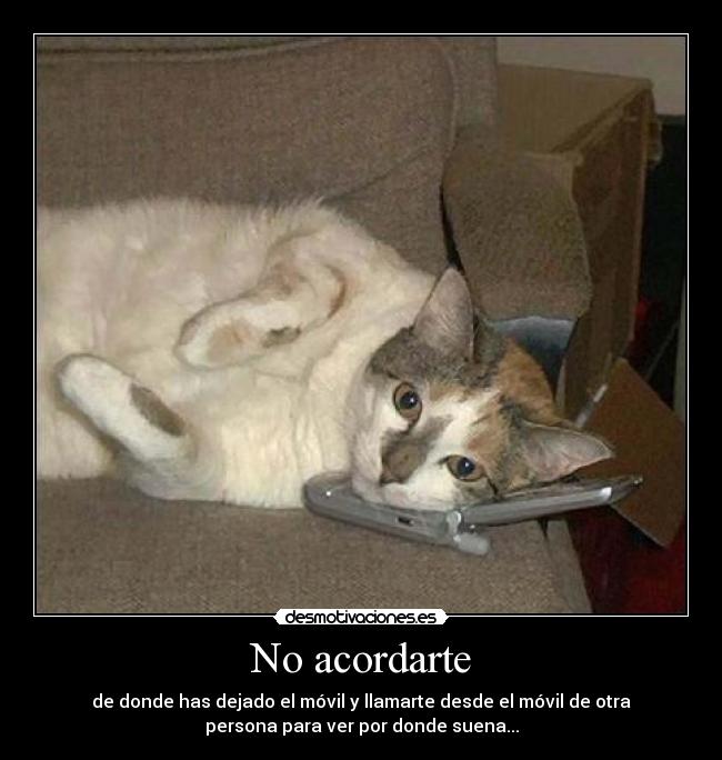 No acordarte -