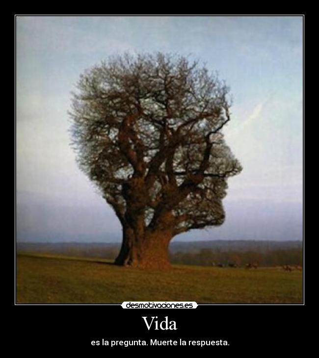 Vida -