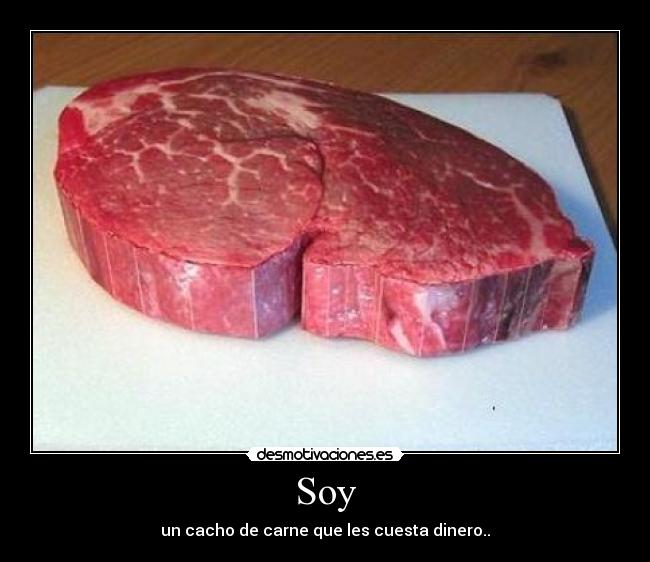 Soy - un cacho de carne que les cuesta dinero..