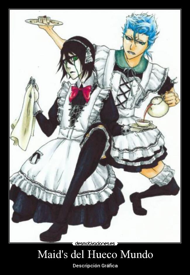 Maids del Hueco Mundo - Descripción Gráfica