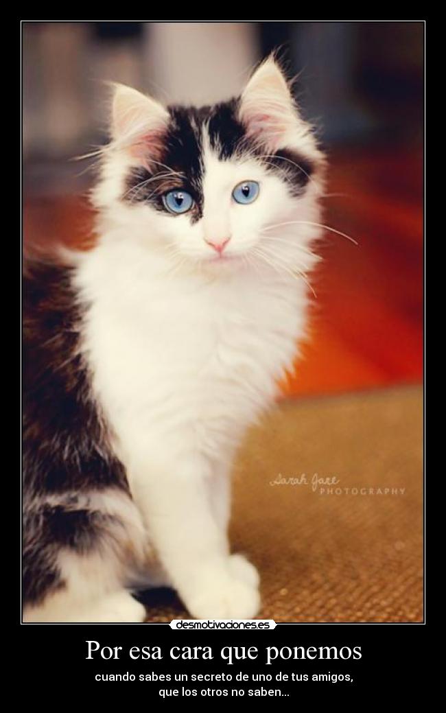 Por esa cara que ponemos - 