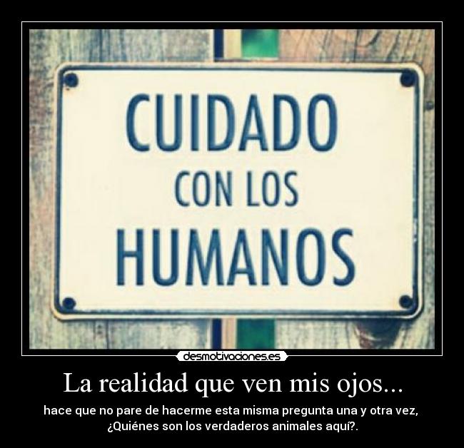 La realidad que ven mis ojos... - hace que no pare de hacerme esta misma pregunta una y otra vez,
¿Quiénes son los verdaderos animales aquí?.