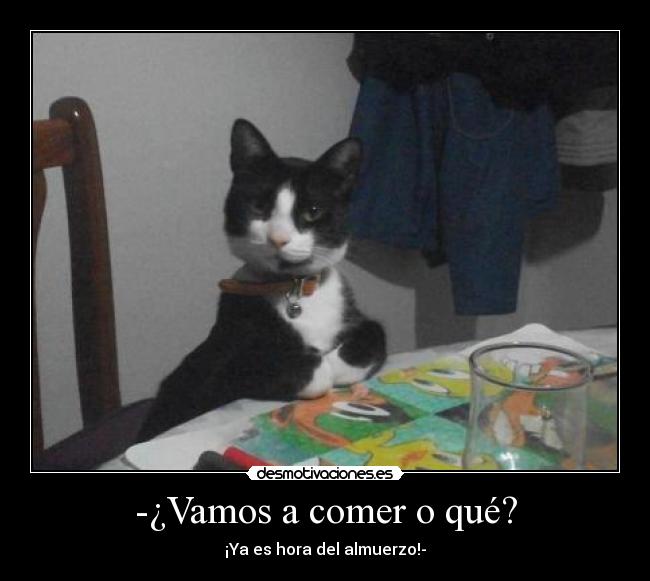 -¿Vamos a comer o qué? - ¡Ya es hora del almuerzo!-