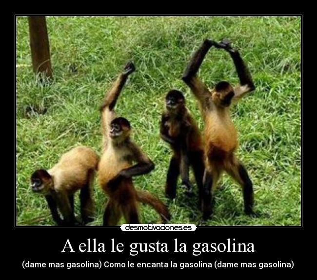 A ella le gusta la gasolina -