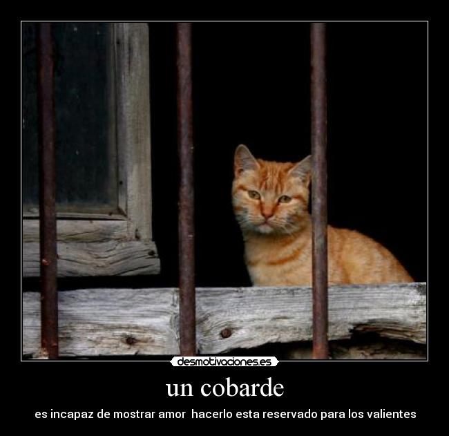 un cobarde - 