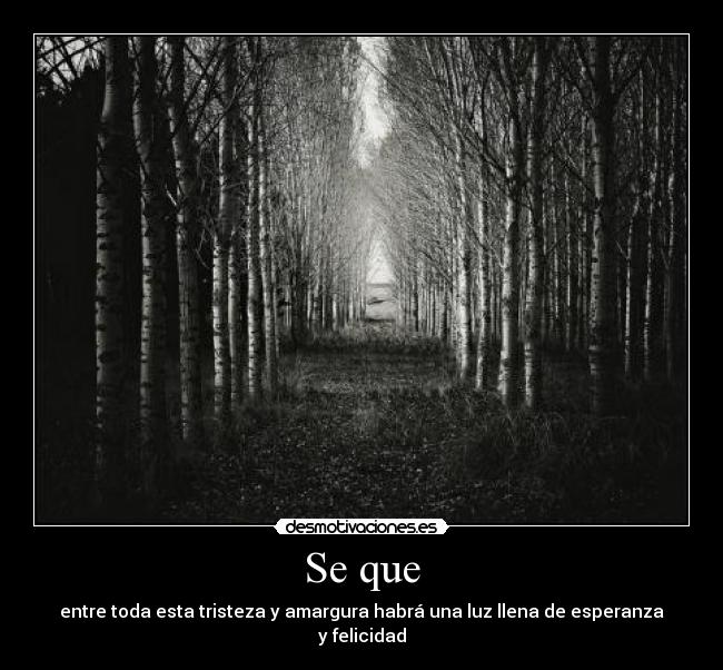 Se que - entre toda esta tristeza y amargura habrá una luz llena de esperanza y felicidad