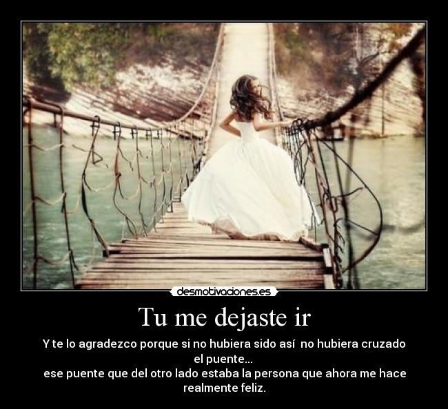 Tu me dejaste ir -
