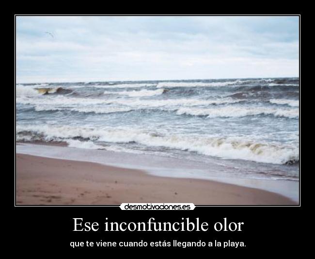 Ese inconfuncible olor - 