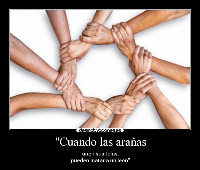 carteles cuando las aranas desmotivaciones