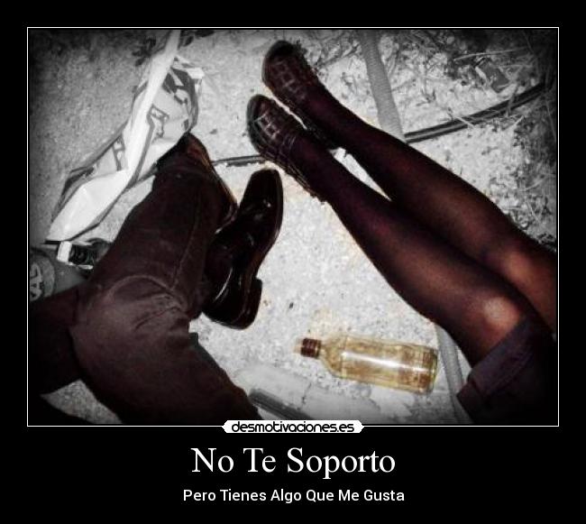 No Te Soporto -