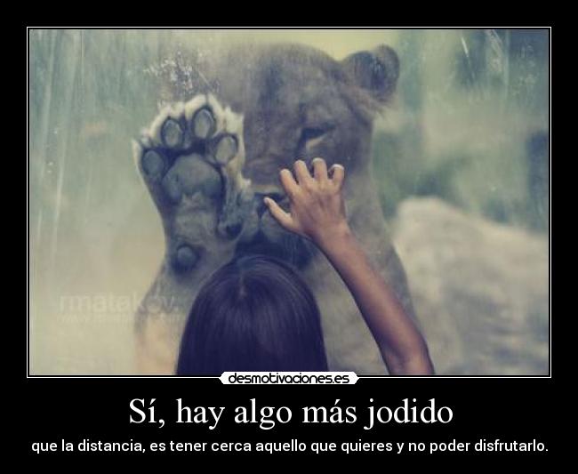 carteles quieren pero pueden tocarse gemelo23 desmotivaciones