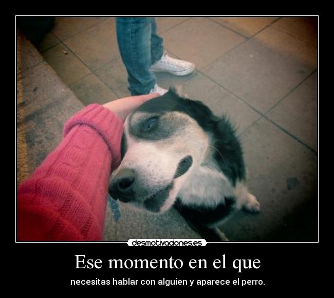 Ese momento en el que - necesitas hablar con alguien y aparece el perro.
