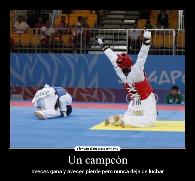 Un campeón - 