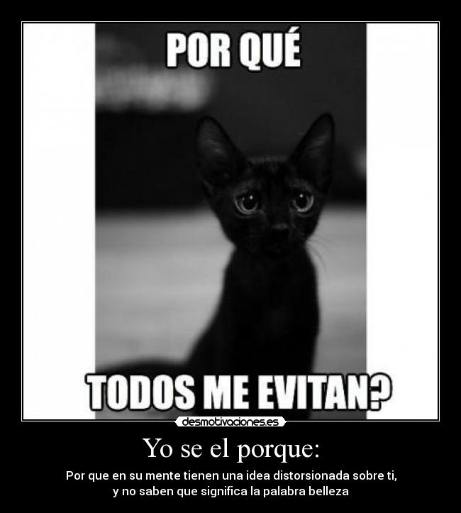 Yo se el porque: - Por que en su mente tienen una idea distorsionada sobre ti,
y no saben que significa la palabra belleza