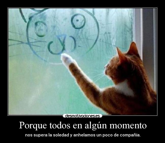 Porque todos en algún momento -