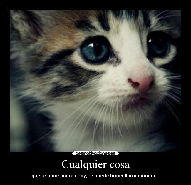Cualquier cosa - 