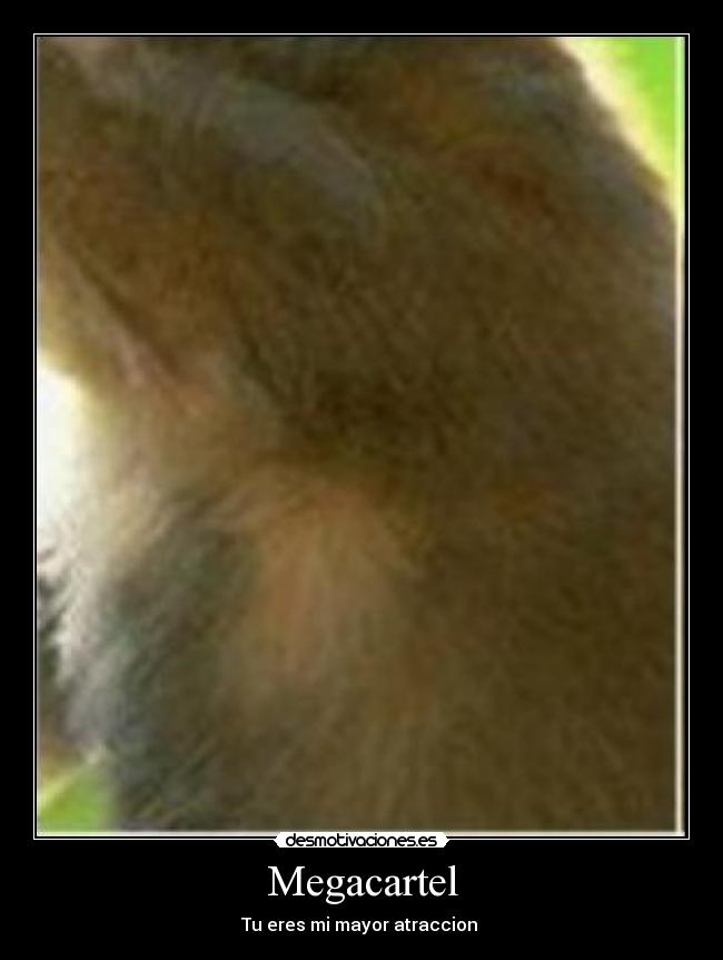 Megacartel - Tu eres mi mayor atraccion ♪
