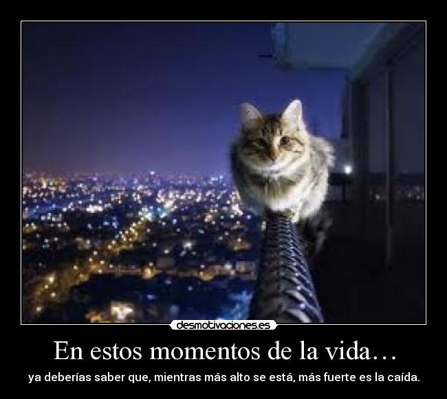 En estos momentos de la vida… - ya deberías saber que, mientras más alto se está, más fuerte es la caída.
