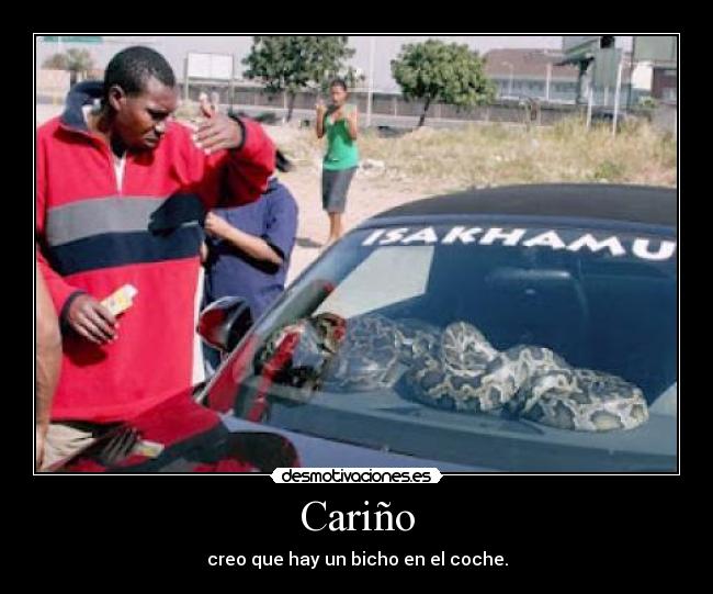 Cariño -