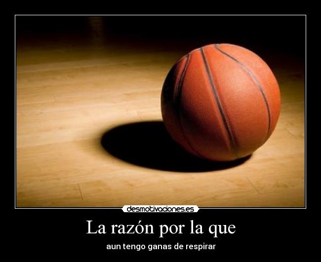 La razón por la que - 