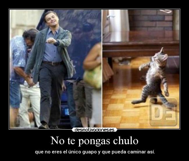 carteles clan catkillers ahora version gatoses mas chulo xdxdxd desmotivaciones