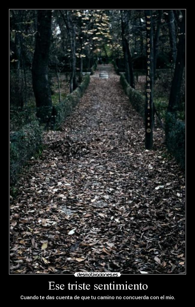 carteles camino concuerda con mio desmotivaciones