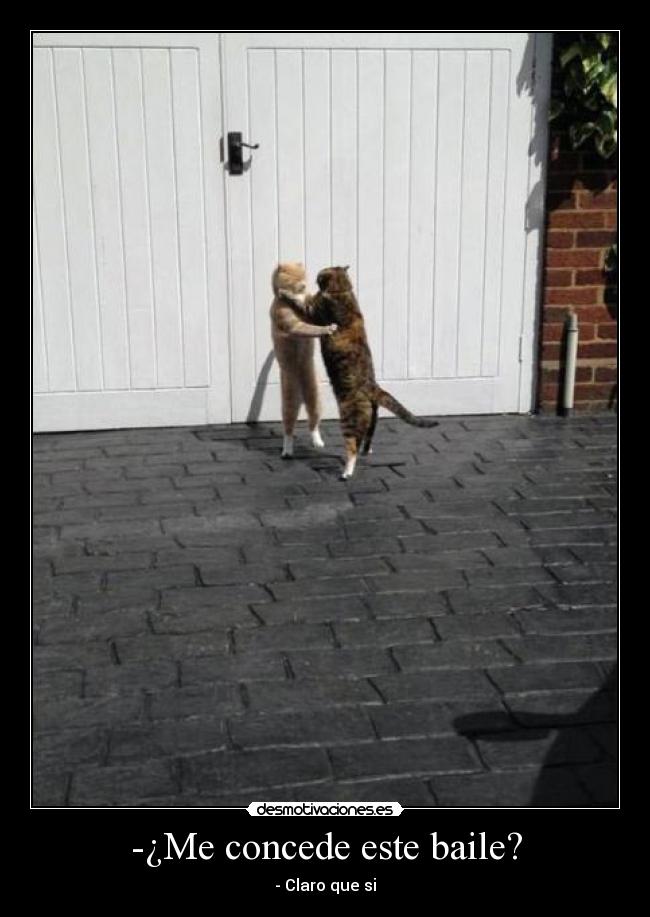 -¿Me concede este baile? - - Claro que si