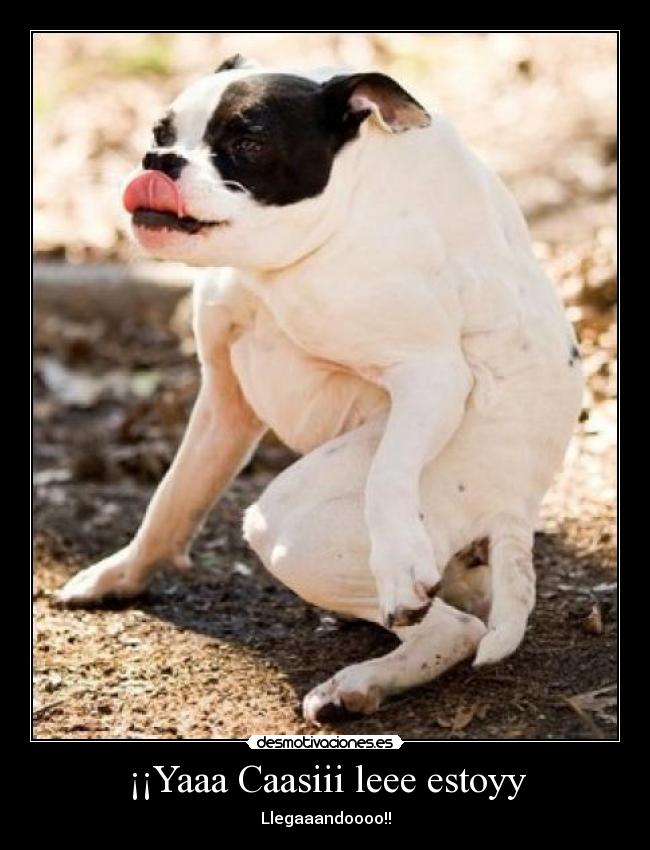 ¡¡Yaaa Caasiii leee estoyy - Llegaaandoooo!!